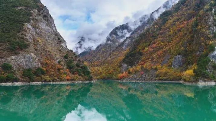逃离水虎鱼湖